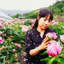 주도리 농장 이미지