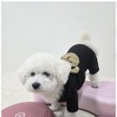 시화유치원 이미지