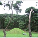 탈해왕릉 이미지