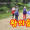 세종대왕릉-왕의숲길 (여강길 6코스 입암 여주보 청보리밭) 이미지