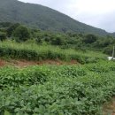 쉼마루민박 이미지