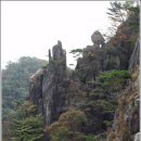 삼우화랑 이미지