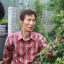 후포회대게 이미지