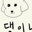 큰댕이네 이미지