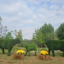 평택시 농업생태원 방문자센터 | 평택시 산책하기 좋은 힐링장소로 인기있는 농업생태원.