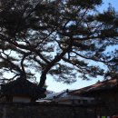 학동마을 이미지