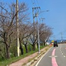 문산제일고앞사거리 이미지