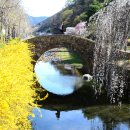 영산 연지 이미지