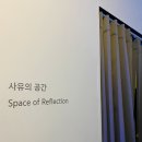 부산가볼만한곳 / 부산실내데이트 추천 미디어아트 미술관 뮤지엄원 치유의기술 후기