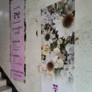 서울로터스치과의원 이미지