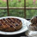 해바라기카페 이미지