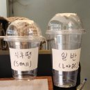 카페코지이대 | [서울/이대] 카페코지 CAPHE COZY | 코코넛커피 맛집 | 블루리본 선정 이대카페| 내돈내산 솔직후기