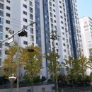 쌍용아파트 건너편 이미지