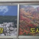 엄마손정육 - 중랑구 면목로74길 27 | 엄마손정육