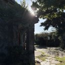 비자림힐링펜션 이미지