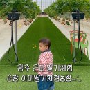 아미딸기 네이버블로그