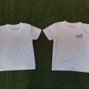 장대태권도 이미지