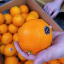 유석농장 이미지