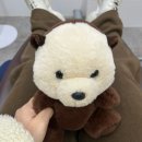 장산약국 | [부산/해운대]왕쫄보 성인 여성의 사랑니 발치 후기 : 장산 사랑니 발치 전문 치과