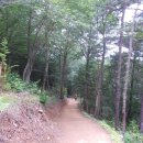 봉화산둘레길 이미지