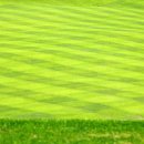 이포골프장 이미지