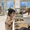 마리앤쥬 이미지