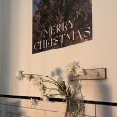 6768 | 전포 애견동반 파스타 맛집 버터홈 | 분위기 좋은 전포양식 브런치