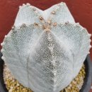 세원카서비스 이미지