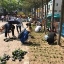 안산어린이공원 이미지