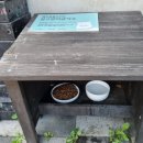 자유로운 사색가 이미지