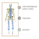 아이 엠 에스테틱