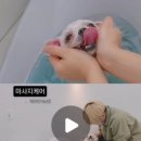 꼼꼼하개 - 양산시 버들길 12 | 꼼꼼하개
