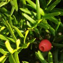 바람소리 이미지