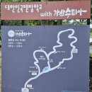 인동2리 | 칠곡군 핑크뮬리 명소 가산수피아 가을나들이