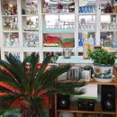 중길치과의원 이미지