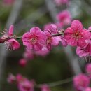 보현의집 이미지