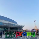 [안양 정관장 레드부스터스] 4/8 vs 원주 DB 프로미, 정규 시즌 마지막 경기 직관 후기🏀| 205구역 4열