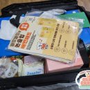 (주)펫둥이 이미지