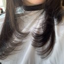 혜화로움헤어 혜화역점 | 하이레이어드 커트 찐맛집｜준오헤어 대학로혜화역점 제로디자이너 후기