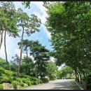 용인자연휴양림 이미지