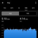 사백십오