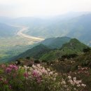 부춘자동차 네이버블로그
