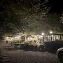 놀멍애견펜션 이미지