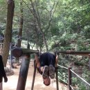 번개약수터 이미지