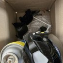 깨롱이 | [12월 첫주] 첫눈이 이렇게 많이와도 되는건가❄️