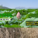 해동물류 이미지