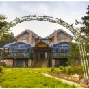 물안개피는 강가펜션 이미지