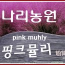 핑크나리