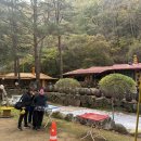 은행나무 펜션 | 홍천펜션 황토한옥에서 즐기는 은행나무 축제 여행 후기