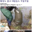 영남대물피싱